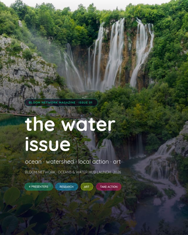 Ocean Hub - Digital Magazine